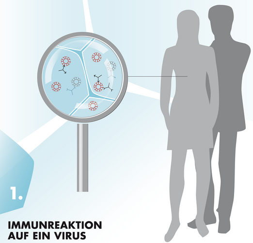 Die Grafik zeigt die Silhouetten eines Mannes und einer Frau sowie eine Lupe die grafisch stilisierte Viren vergrößert.