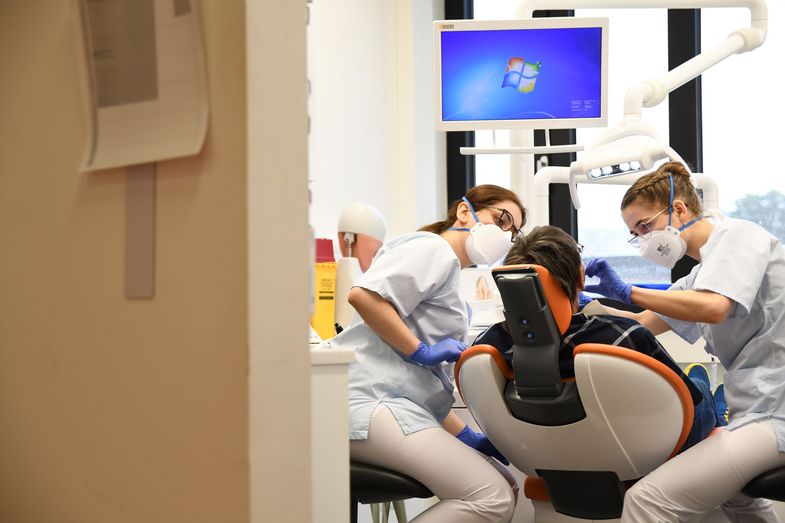 Im Behandlungskurs der Zahnmediziner kümmern sich immer zwei Studierende um einen Patienten. Foto: Anton Stolle