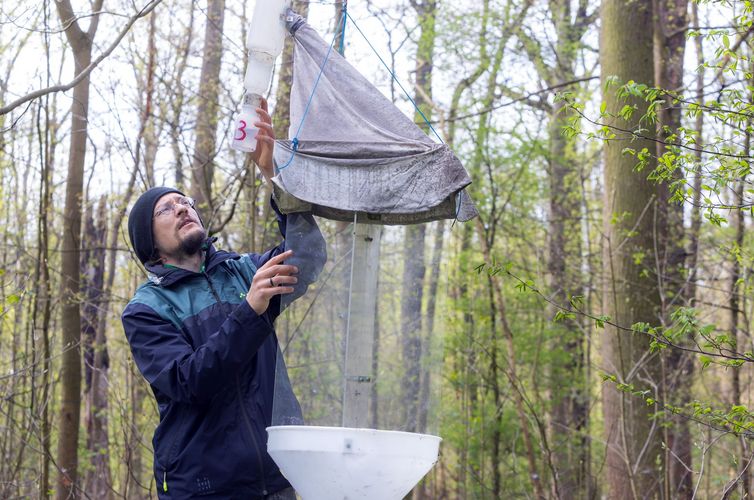 Stefan Schaffer steht im Auwald.