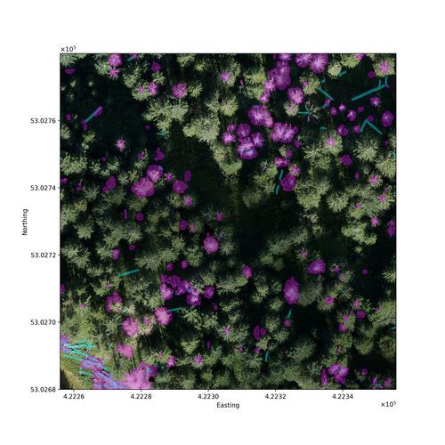 Auf dieser Drohnenaufnahme ist anhand farblicher Markierungen zu sehen, wo die künstliche Intelligenz tote Bäume erkannt hat.