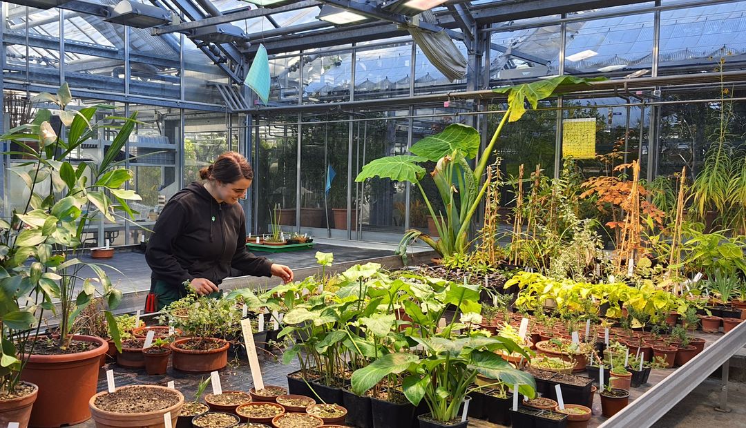 Auszubildende Annalena Jäckel im Botanischen Garten