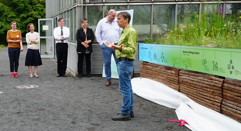 Zu sehen ist Rolf Engelmann, wie er einer Gruppe, darunter dem Umweltbürgermeister, das Gründach erklärt.