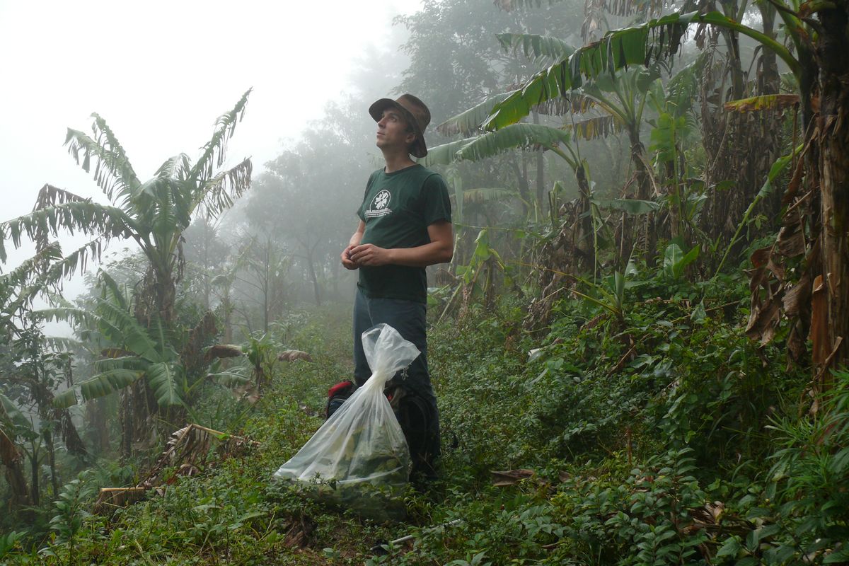 zur Vergrößerungsansicht des Bildes: Zu sehen ist Rolf Engelmann mit gesammelten Pflanzen im Regenwald