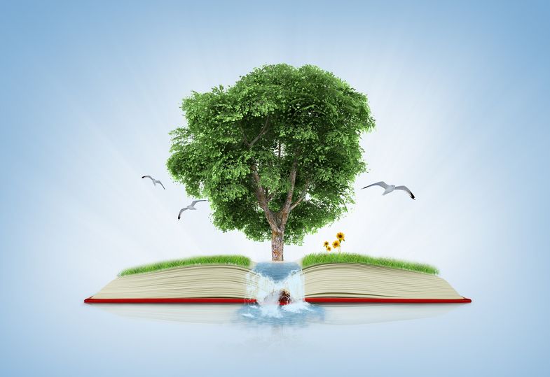 Zu sehen ist ein Symbolbild, in dem ein Baum aus einem aufgeschlagenen Buch wächst.