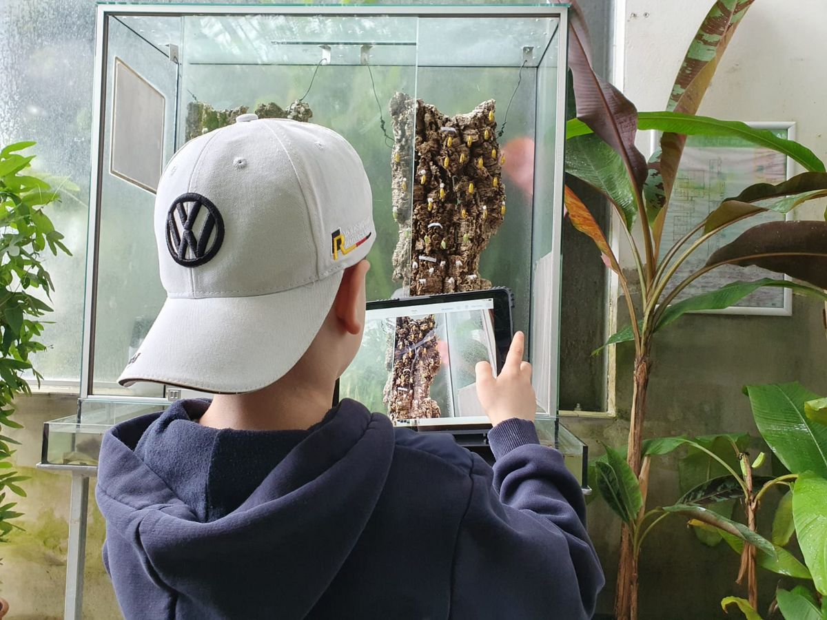 zur Vergrößerungsansicht des Bildes: Zu sehen ist ein Schüler vor einem Terrarium, der mit einem Tablet fotografiert.