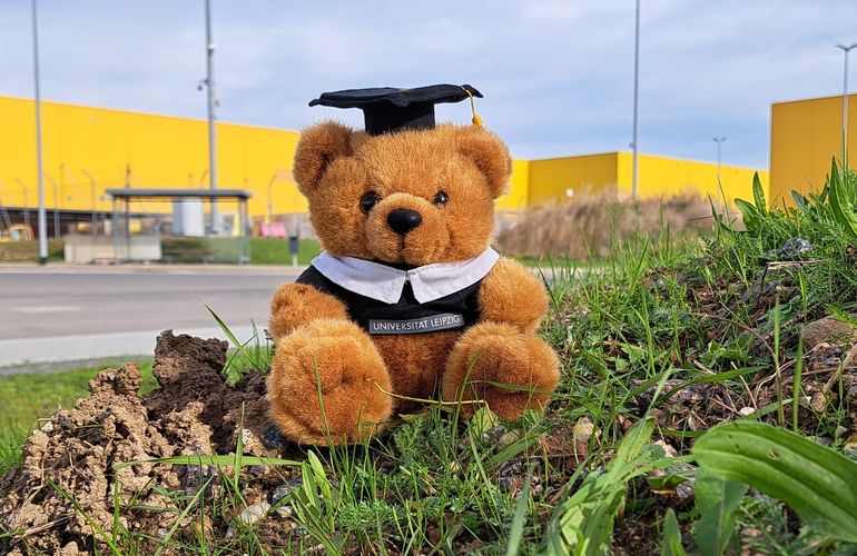 Zu sehen ist ein Plüschteddy, das vor dem Gelände des Frachtflughafens sitzt.