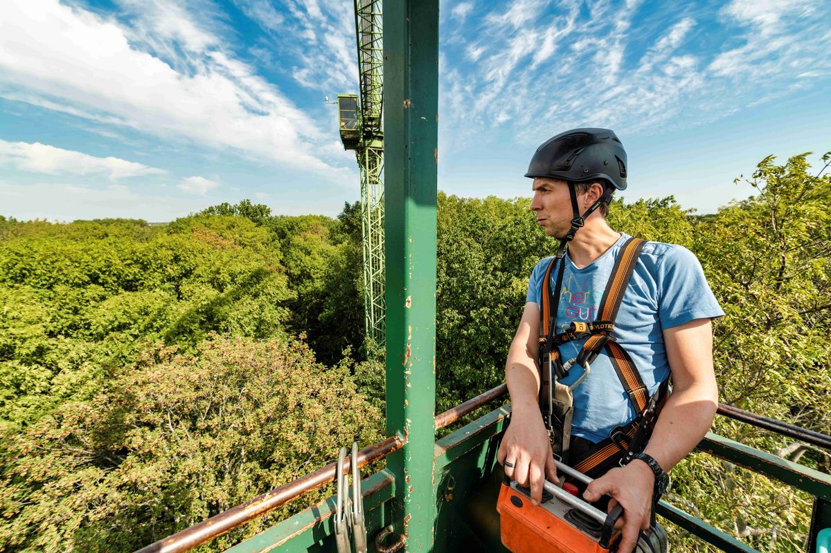 zur Vergrößerungsansicht des Bildes: Zu sehen ist Rolf Engelmann auf dem Aufwaldkran in luftiger Höhe zwischen Baumwipfeln