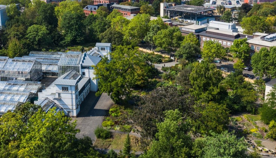 Der Botanische Garten aus der Luft.