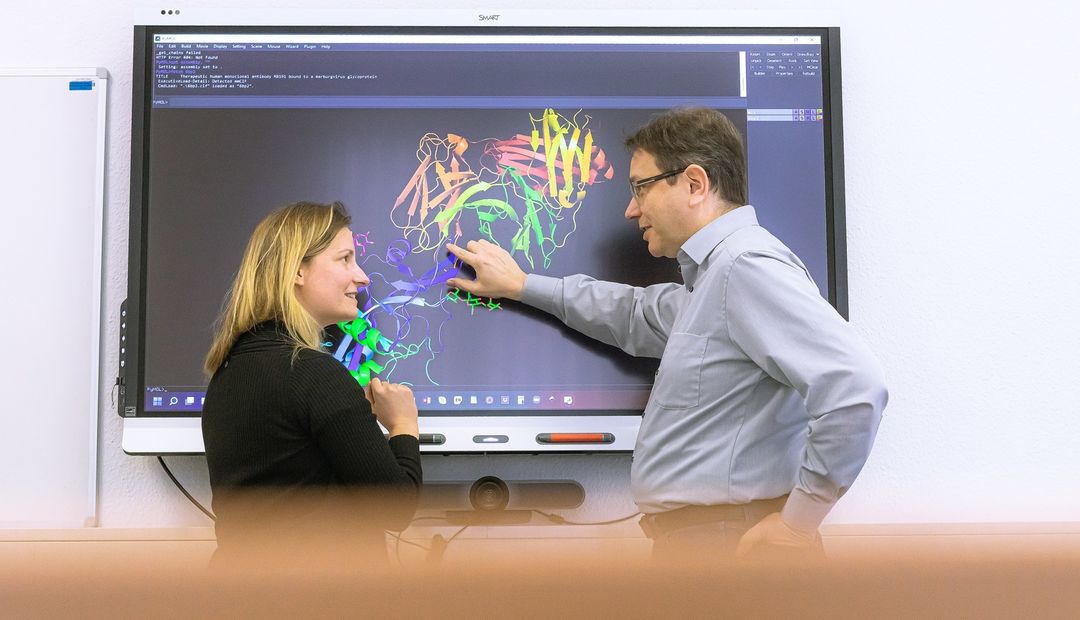 Humboldt-Prof. Dr. Jens Meiler und Projektleiterin Dr. Clara T. Schoeder analysieren Proteinstrukturen.